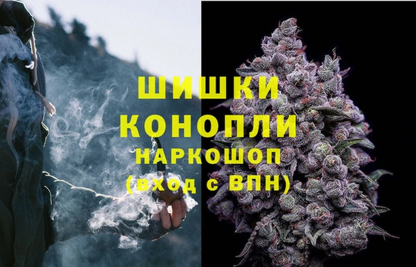 хмурый Дмитриев