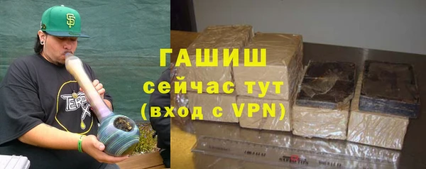 дмт Дмитров