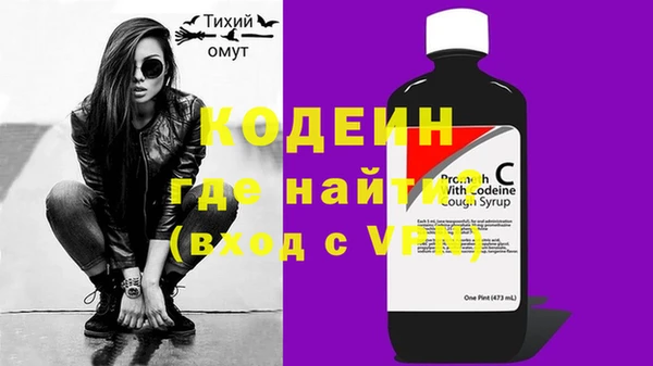 дмт Дмитров