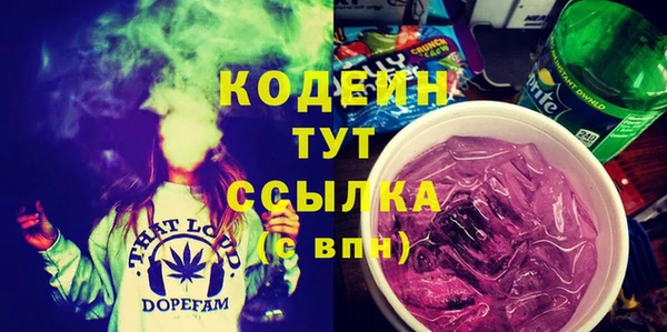 дмт Дмитров