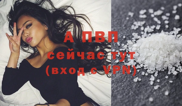дмт Дмитров