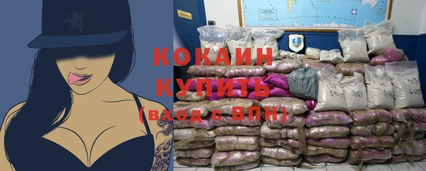дмт Дмитров
